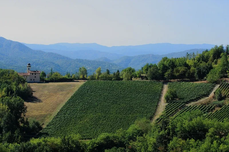 Étiquette du vin Brachetto d'Acqui