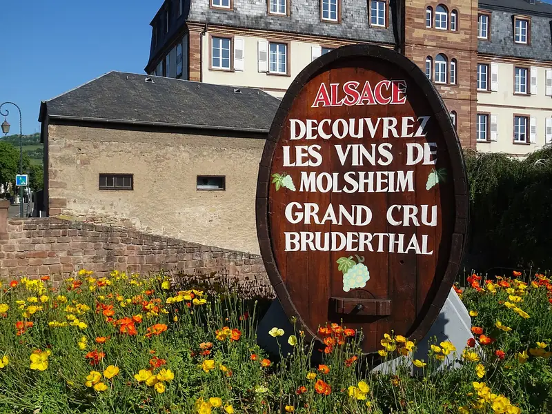 Rótulo do vinho Alsace Grand Cru Bruderthal