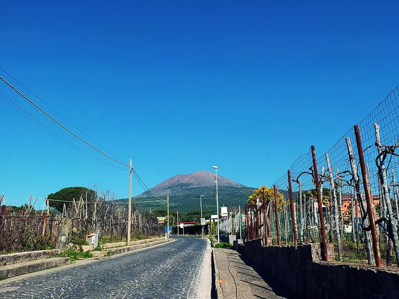 Étiquette du vin Lacryma Christi del Vesuvio