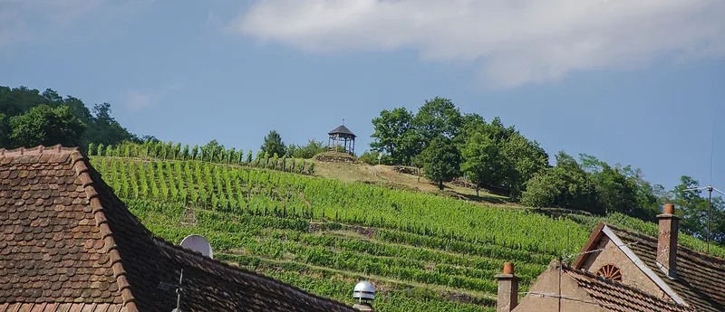 Rótulo do vinho Alsace Grand Cru Kastelberg