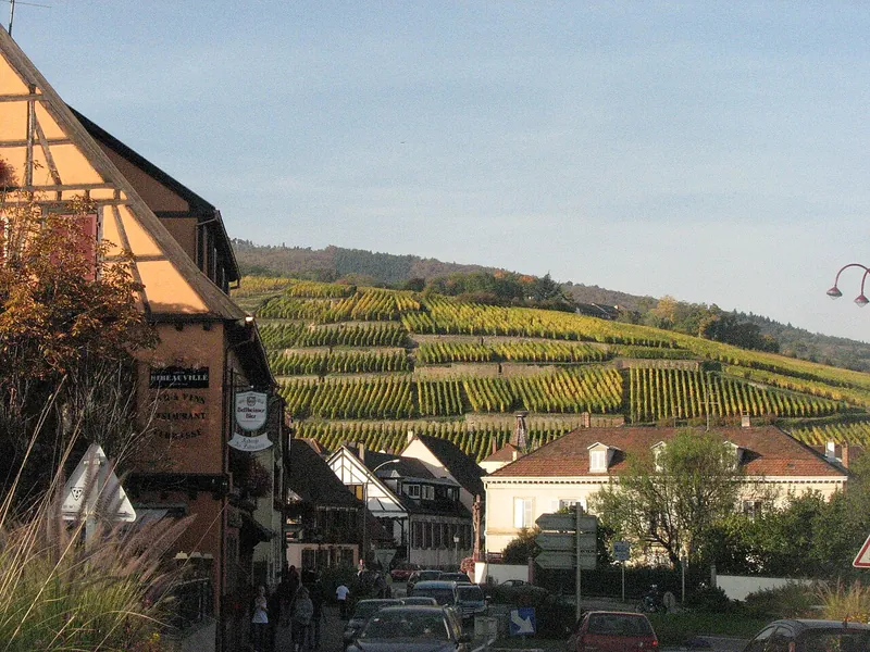 Rótulo do vinho Alsace Grand Cru Geisberg