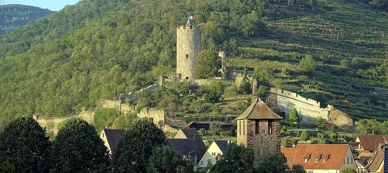Etiqueta del vino Alsace Grand Cru Schlossberg