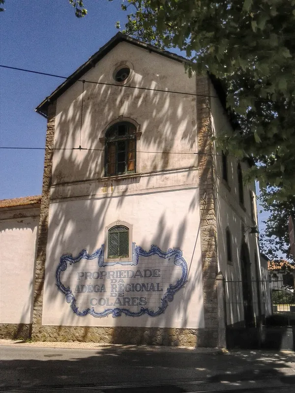 Colares wine label