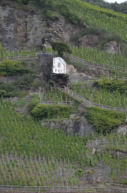 Rótulo do vinho Wehlener Sonnenuhr
