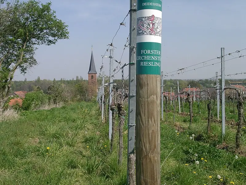 Forster Kirchenstück wine label