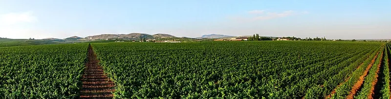 Etiqueta del vino Dealu Mare