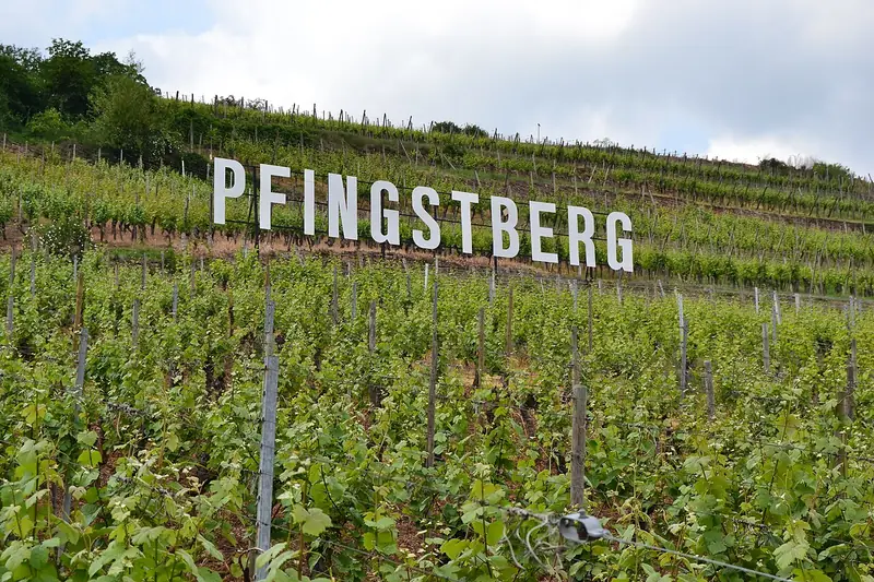 Rótulo do vinho Alsace Grand Cru Pfingstberg