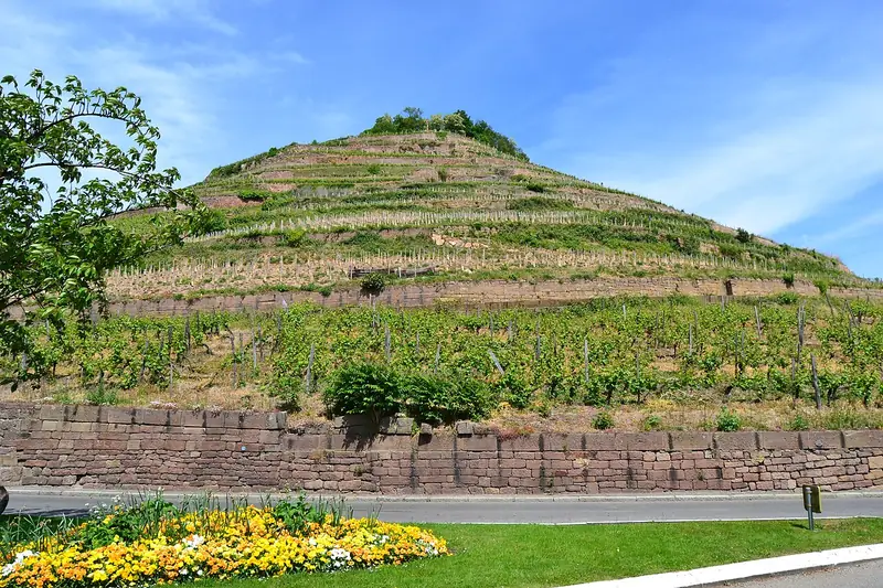 Etichetta del vino Alsace Grand Cru Kitterlé