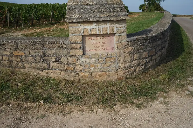 Etichetta del vino Musigny