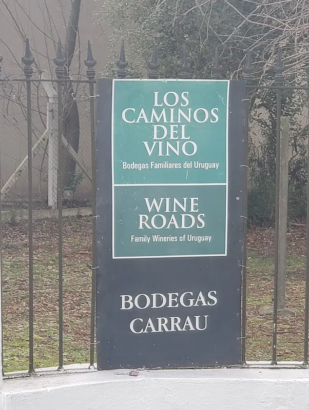 Rótulo do vinho Canelones
