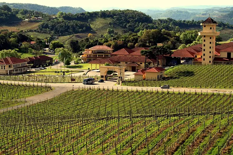 Etichetta del vino Vale dos Vinhedos