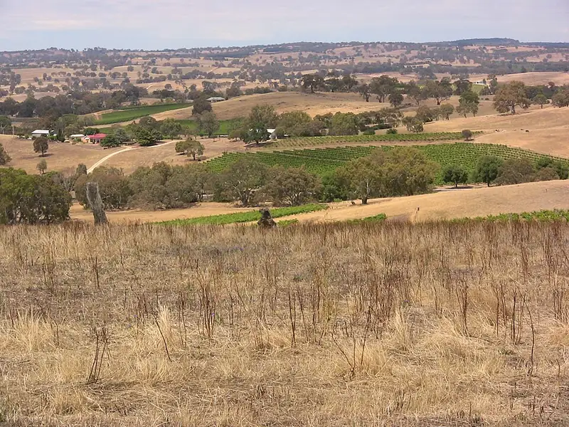 Eden Valley wine label