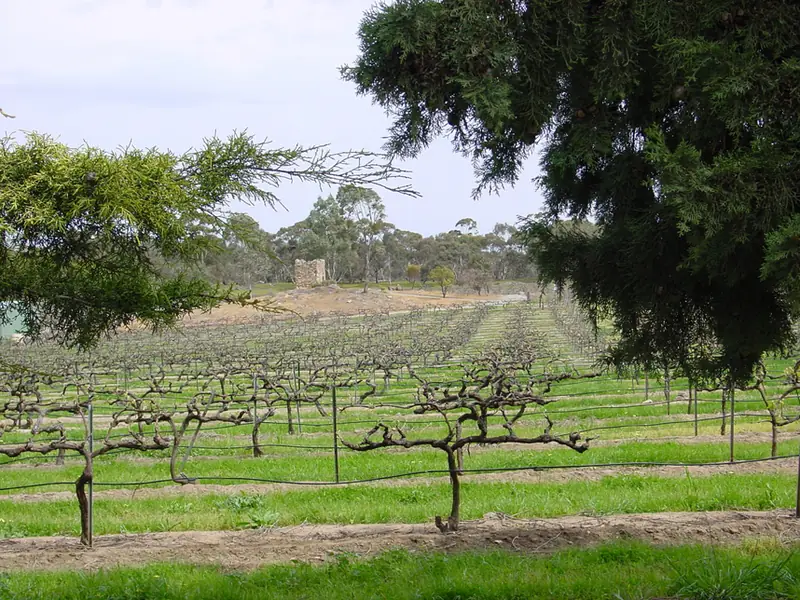 Etiqueta del vino Clare Valley