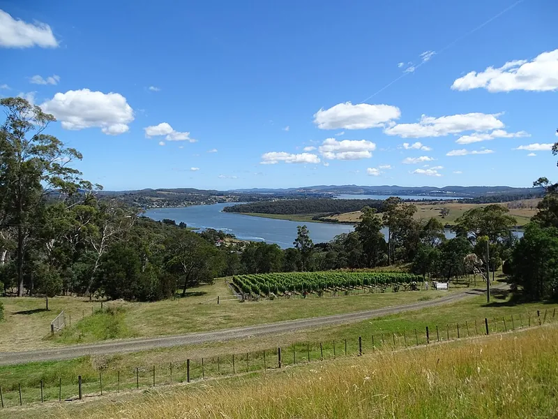 Tamar Valley wine label