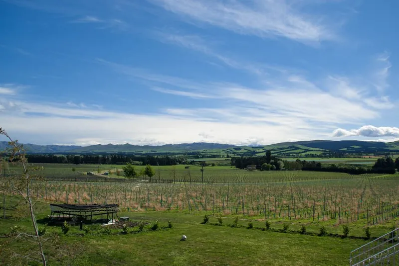 Waipara Valley wine label