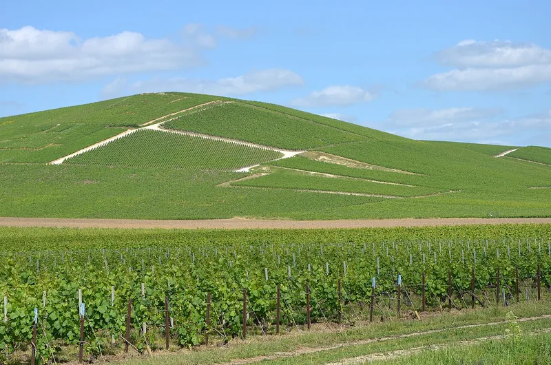 Étiquette du vin Aÿ Grand Cru
