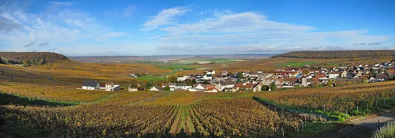 Etiqueta del vino Cramant Grand Cru