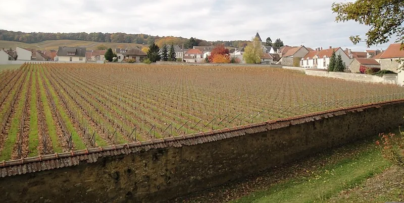 Rótulo do vinho Le Mesnil-sur-Oger Grand Cru