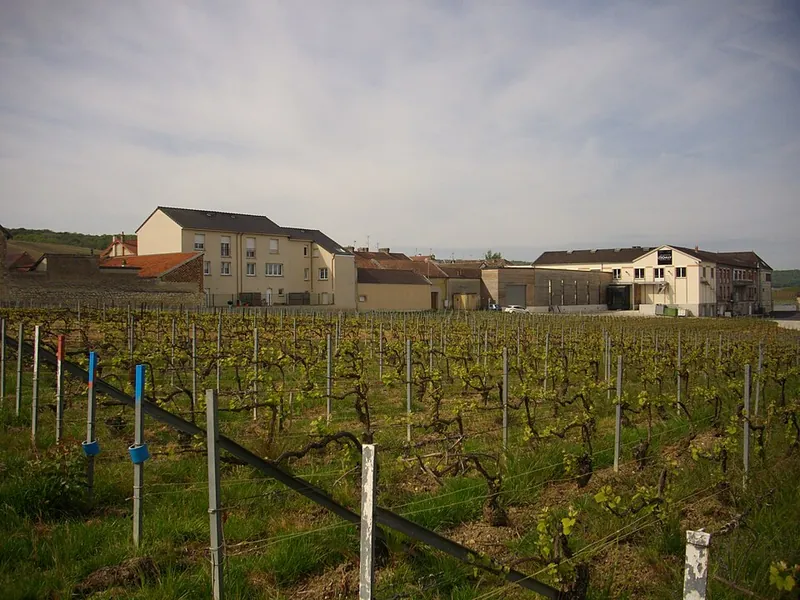Mailly-Champagne Grand Cru wine label