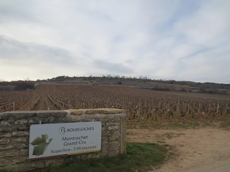 Etiqueta del vino Montrachet