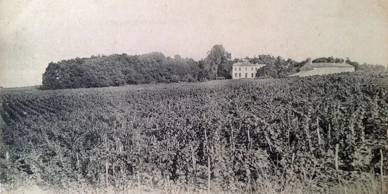Rótulo do vinho Château Troplong Mondot
