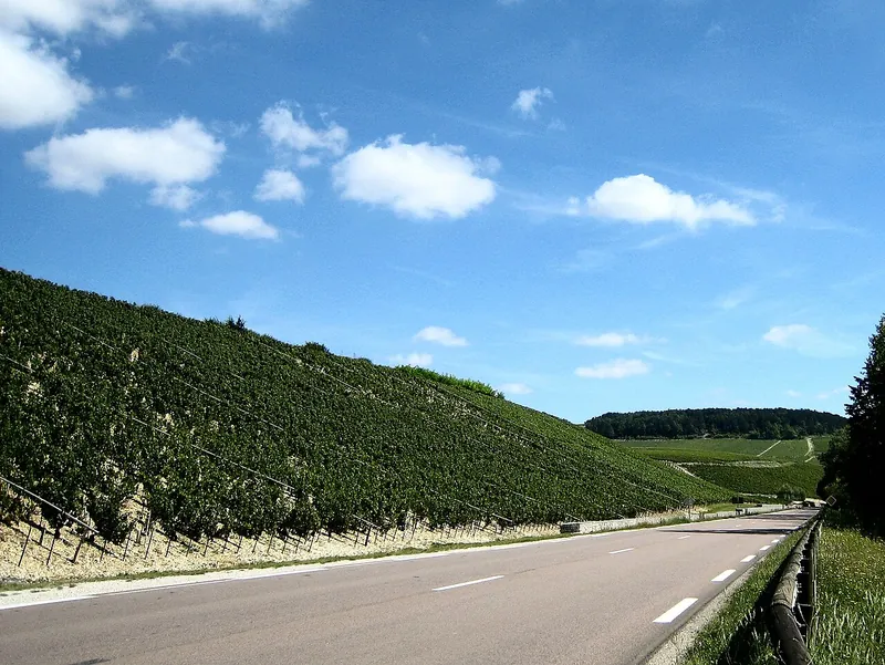 Etichetta del vino Chablis Grand Cru Bougros