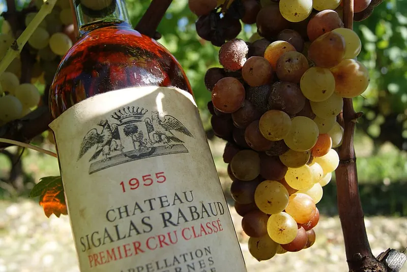 Rótulo do vinho Château Sigalas-Rabaud