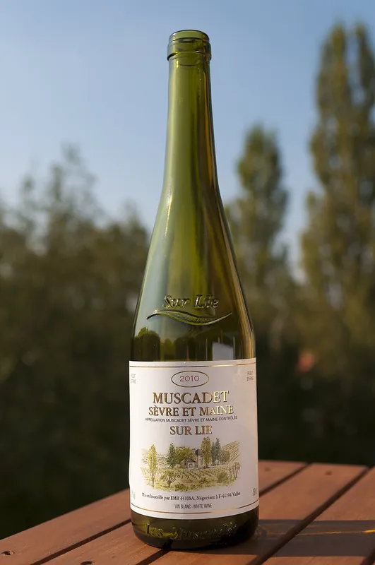 Rótulo do vinho Muscadet Sèvre et Maine